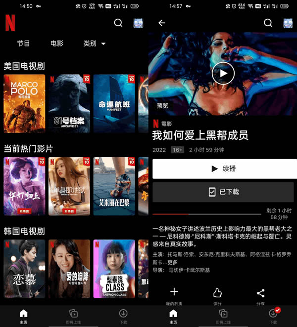 奈飞netflix手机版