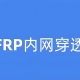 frp内网穿透工具下载